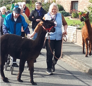 Christina Engelhardt (rechts) begrüßte mit ihren Alpakas die Gruppe der Gäste aus der Caritas-Tagespflege Duderstadt.