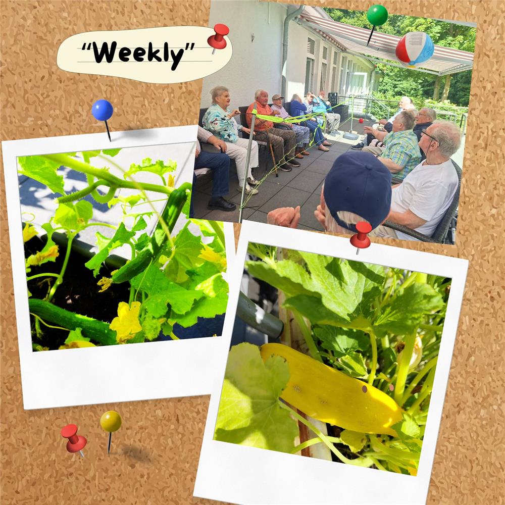 Zu sehen ist eine Collage aus drei Bildern. Zwei Fotos zeigen ein Hochbeet mit einer Zucchinipflanze und Gurken. das andere zeigt Senioren die gemeinsam aktiv sind und einen Ball über ein Netz werfen.