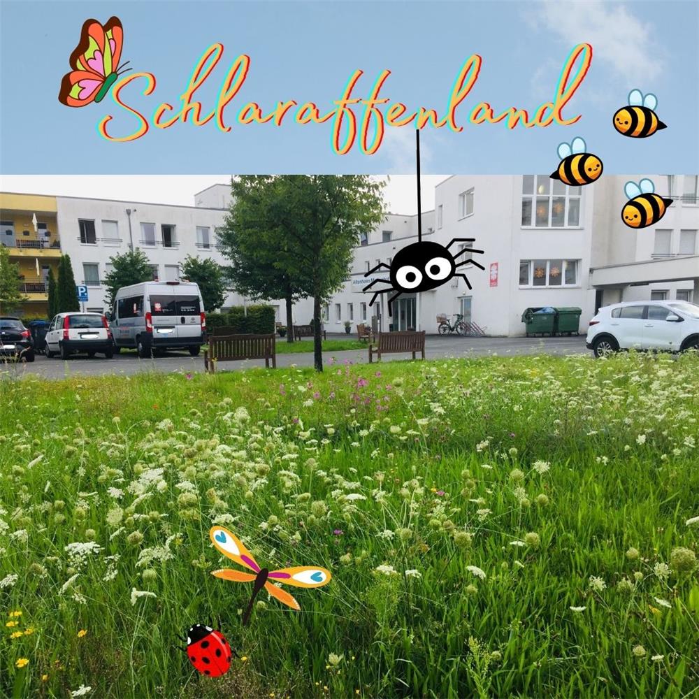 Bunte Blumenwiese vor dem Altenheim, Collage mit Grafik-Insekten