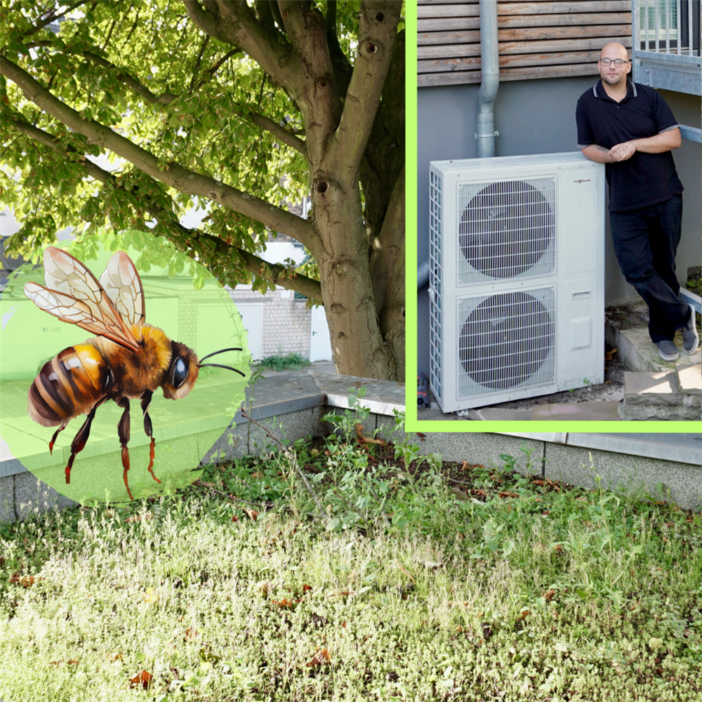 Collage: wilde Blumenwiese auf dem Dach, Mitarbeiter steht neben Wärmepumpe an Hauswand