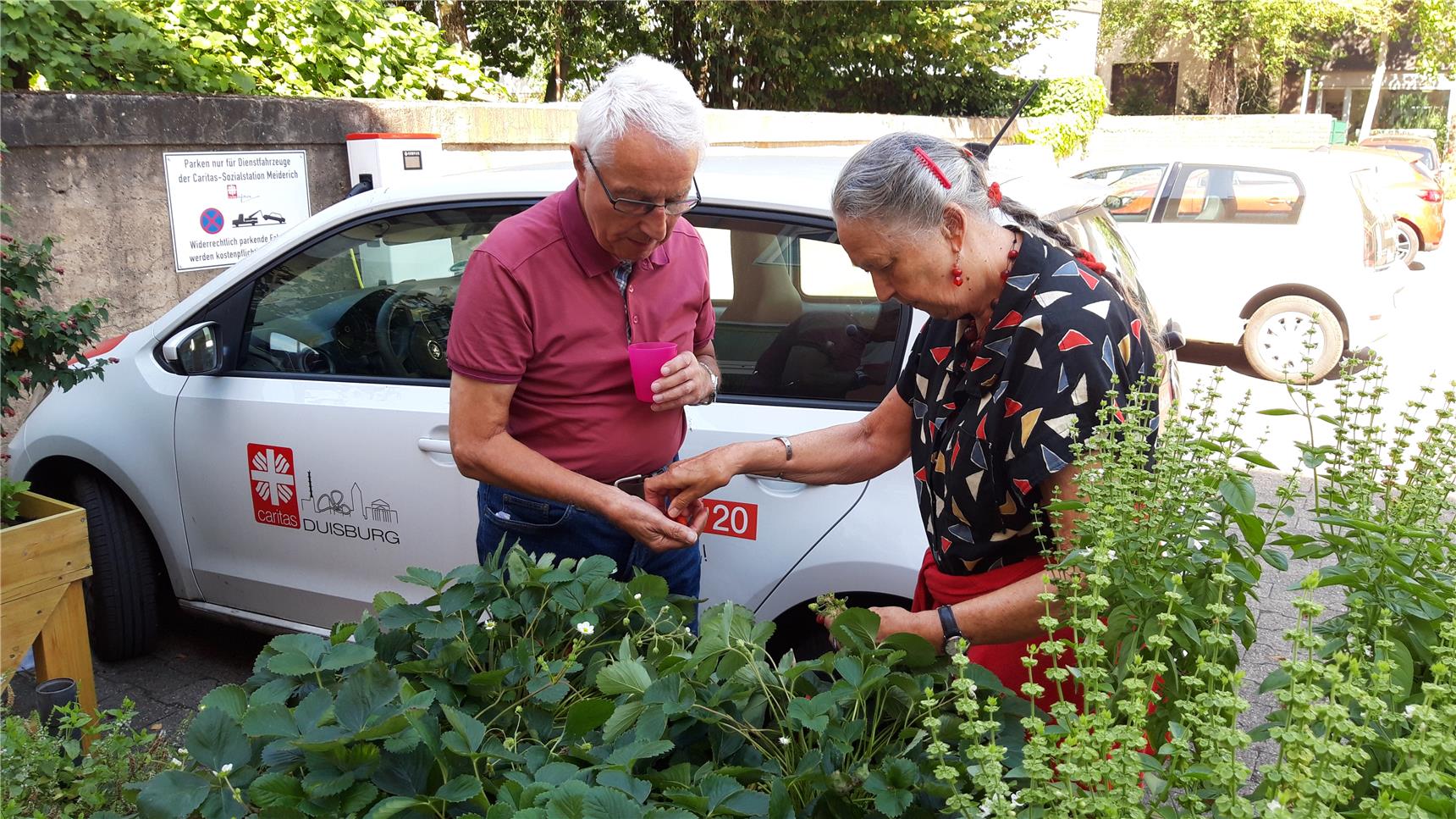 Hinter dem grün befüllten Hochbeet stehen zwei Gäste und pflücken Erdbeeren