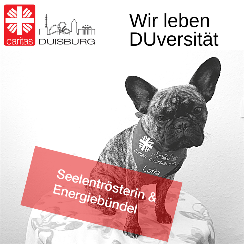Hündin Lotta mit Banner-Spruch 