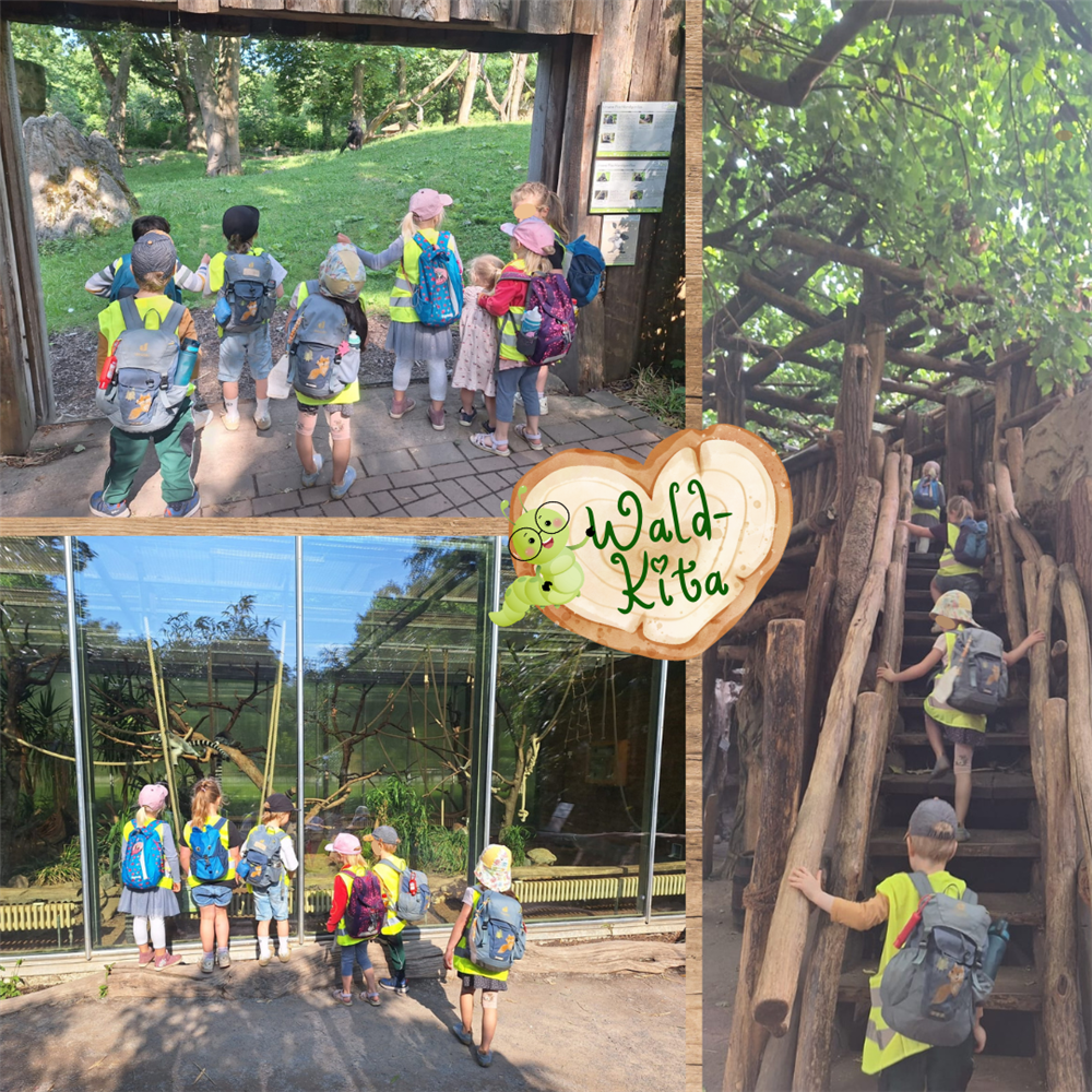 Collage aus drei Fotos: die Kinder stehen vor einem Gehege mit großer Glasfront, die Kinder stehen vor einem Gehege mit Kletterbäumen, die Kinder gehen eine Holztreppe zu einer AUssichtsplatform hoch
