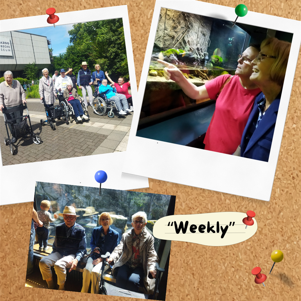 Collage mit drei Fotos: Gruppenbild draußen vorm Aquazoo, eine Mitarbeiterin zeigt einer Seniorin etwas in dem Aquarium vor ihnen, zwei Seniorinnen und ein Senior sitzen auf einer Bank vor einem großen Terrarium während neben ihnen ein Kleinkind auf der Bank steht und ins Terrrium schaut 