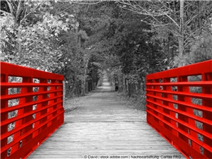 Holzbrücke im Park oder Wald. In Graustufen, Holzgeländer ist in rot illustriert. (c) David | www.stock.adobe.com | Nachbearbeitet Caritas FRG.