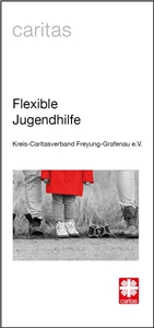 Titel-aktueller Flyer Flexible Jugendhilfe | 113 KB.