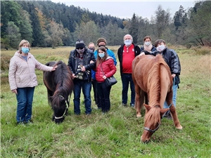 Ein langer Spaziergang mit den Pferden der Fachgebietsleitung. (c) Gottinger | Caritas FRG, November 2020.