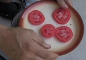Wir züchten unsere eigenen Tomaten 