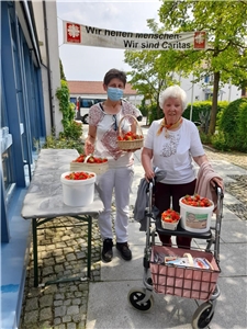 Erdbeerpflücken