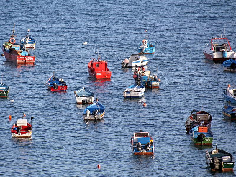 Fischerboote