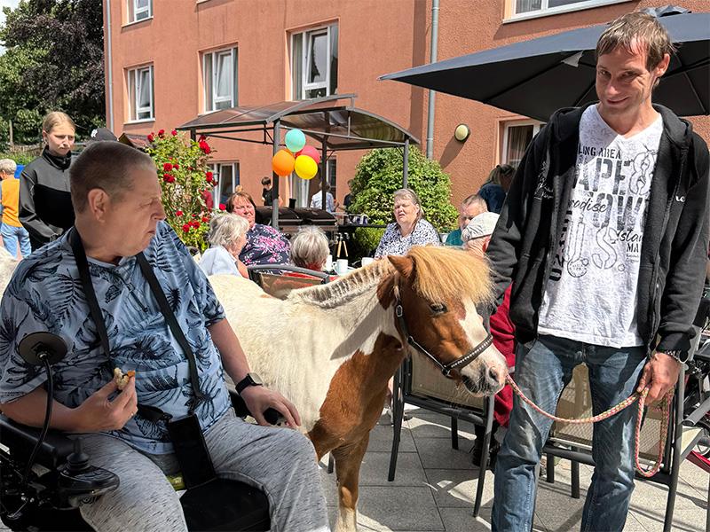 Mann im Rollstuhl blickt zu kleinem Pony, das von einem stehenden Mann am Zügel geführt wird