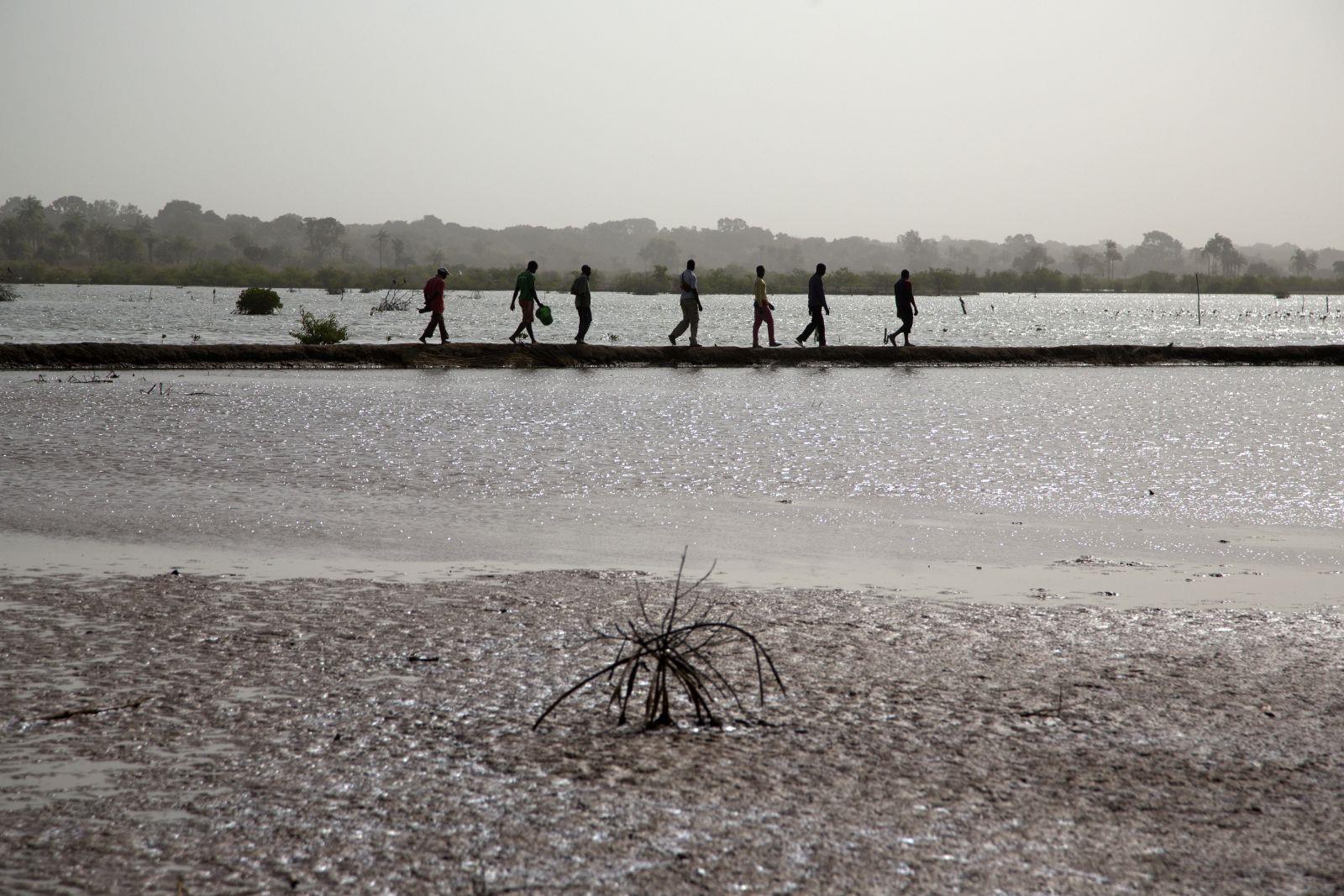 Senegal: Klimawandel im Konfliktgebiet