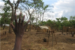 Ein Gehöft aus lokalen Materialien im Westen der Zentralafrikanischen Republik 