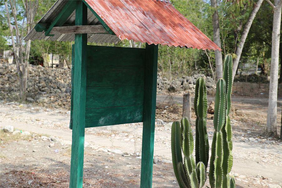 Ein Kaktus vor einer kargen Landschaft