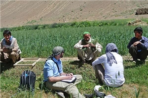 Afghanistan: Männer sitzen an einem Feld in Daikundi