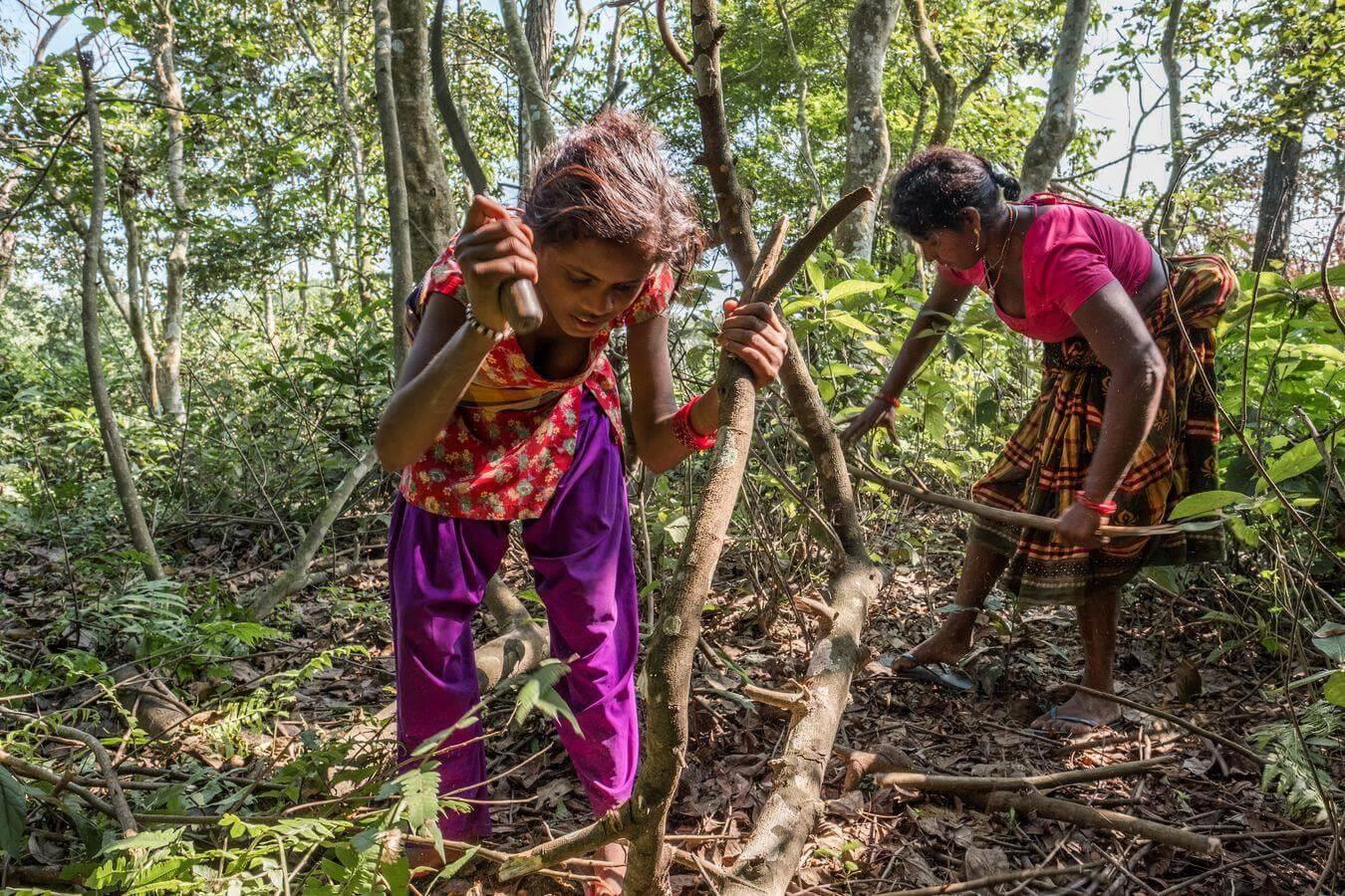 Frauen arbeiten im Wald