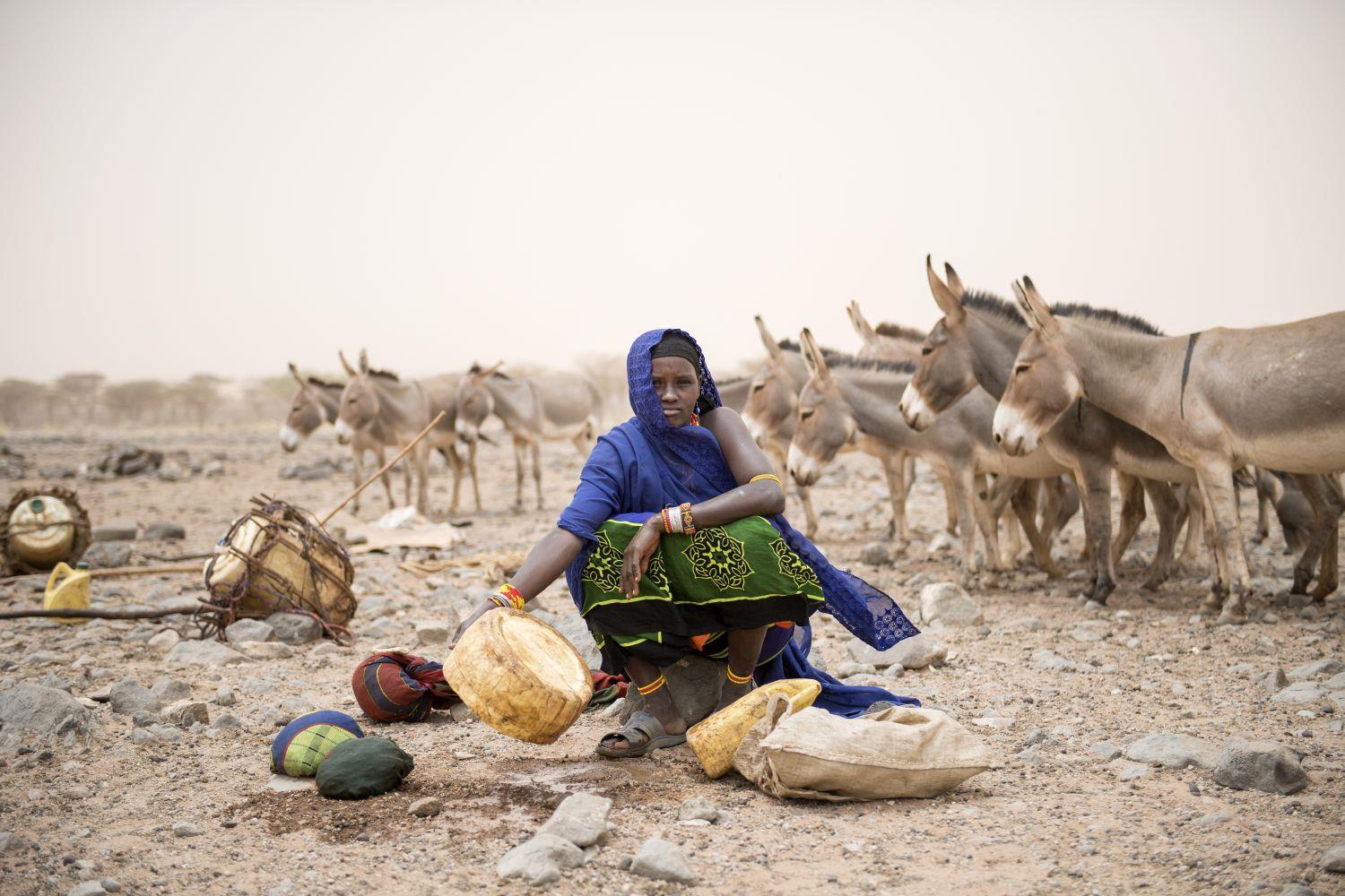 Frau hockend auf Stein mit Eseln in Ostafrika