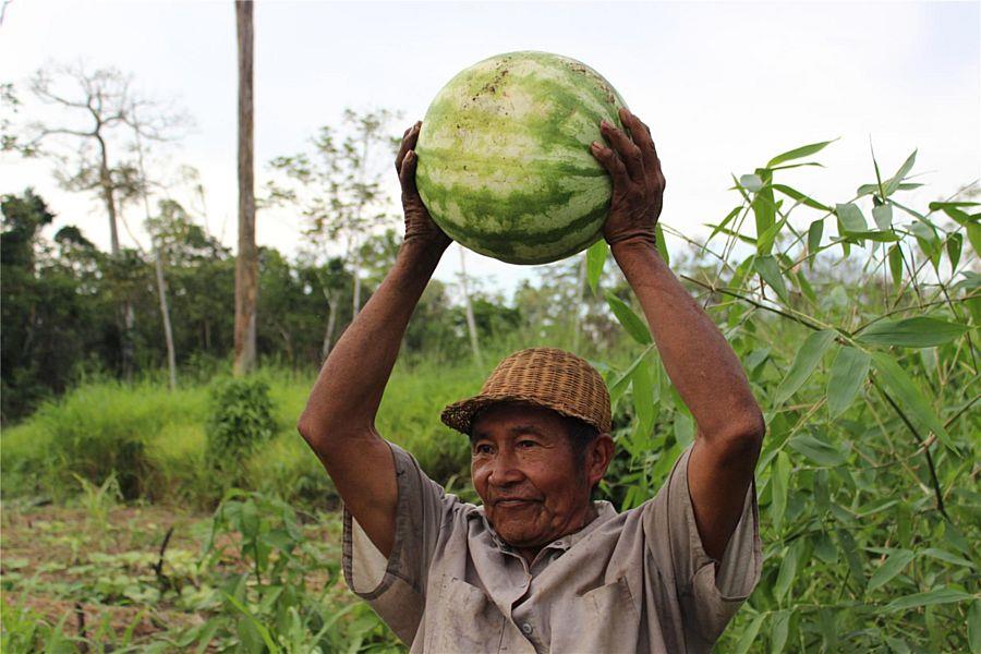 Ein älterer Mann reckt eine riesige Wassermelone in die Luft