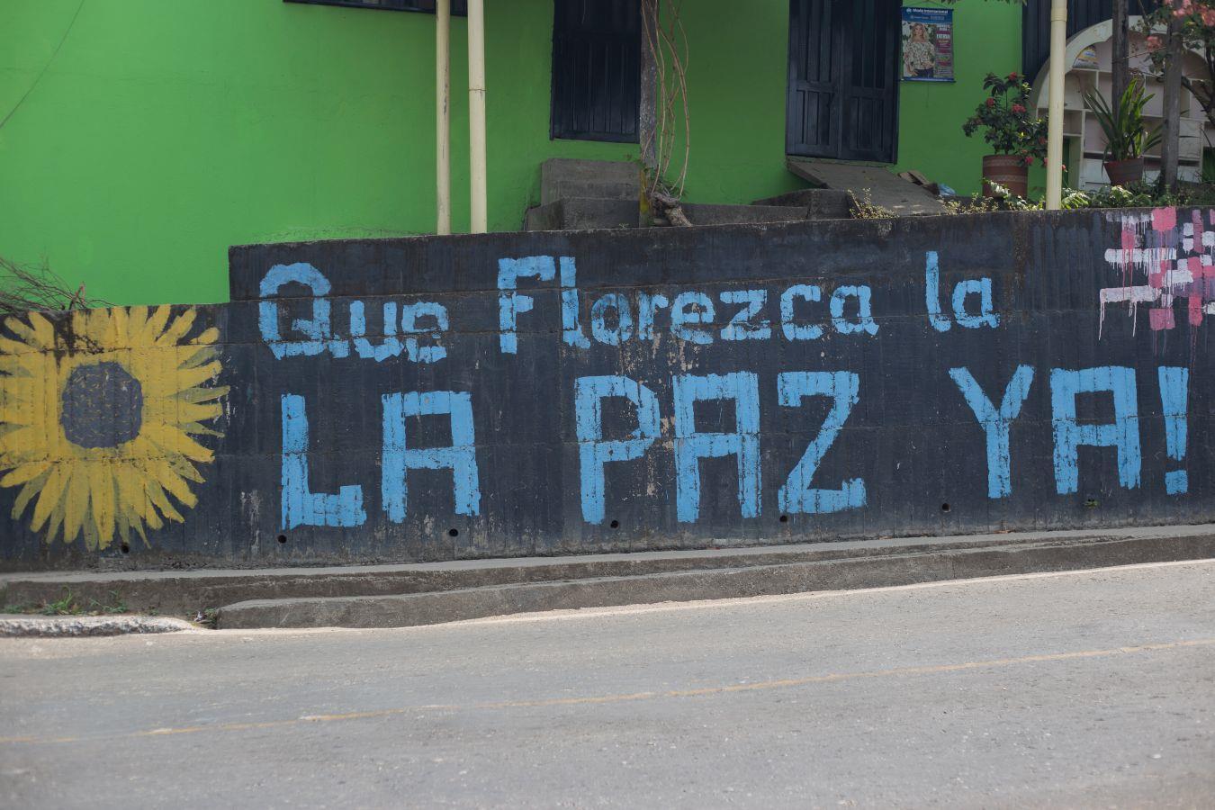 "Que florezca la paz ya" - eine bemalte Wand an einer Straße in Kolumbien