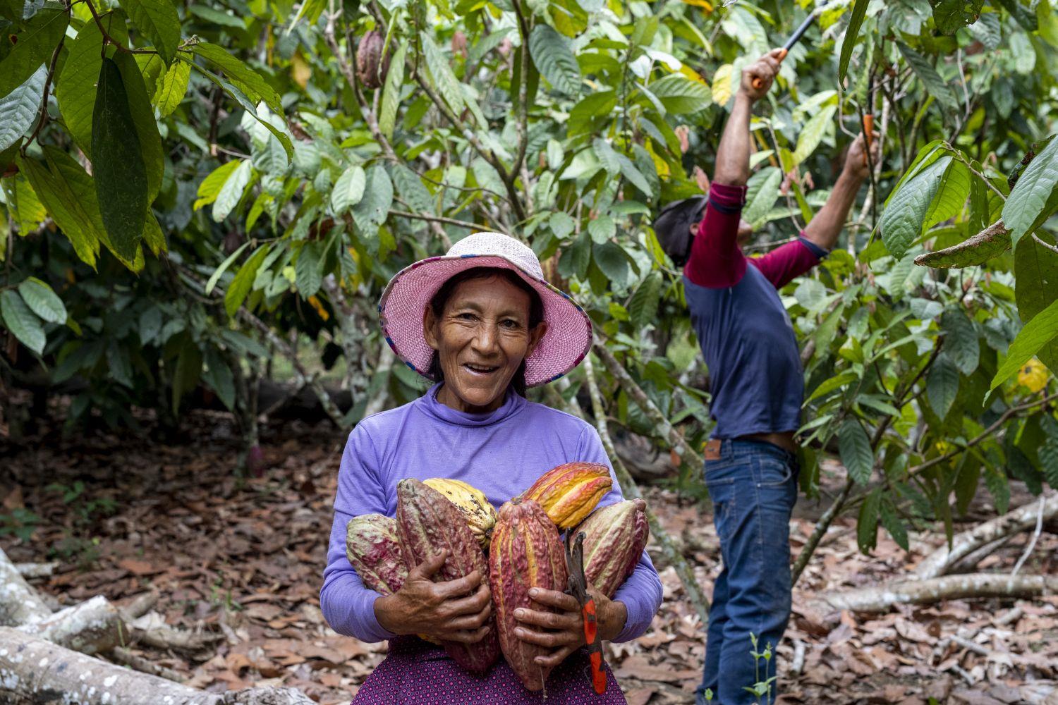 Die Bäuerin Julia Champi erzählt Dariush Ghobad auf dem Kakao-Feld von ihrer Arbeit.