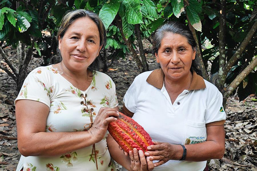 Kakaobäuerinnen bei Madre de Dios