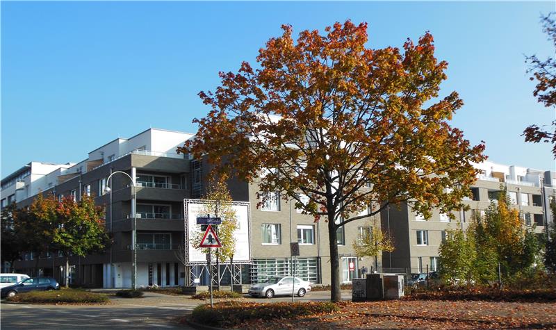 St. Franziskus im Herbst