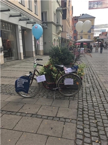Mehrere Fahrräder waren in der Innenstadt Ingolstadts verteilt. Mehrere Fahrräder waren in der Innenstadt Ingolstadts verteilt.