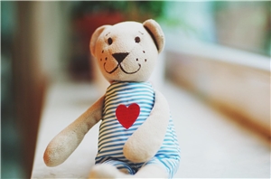 Schutzkonzept Teddy Schutzkonzept