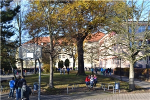 Oberschule Grimma Oberschule Grimma