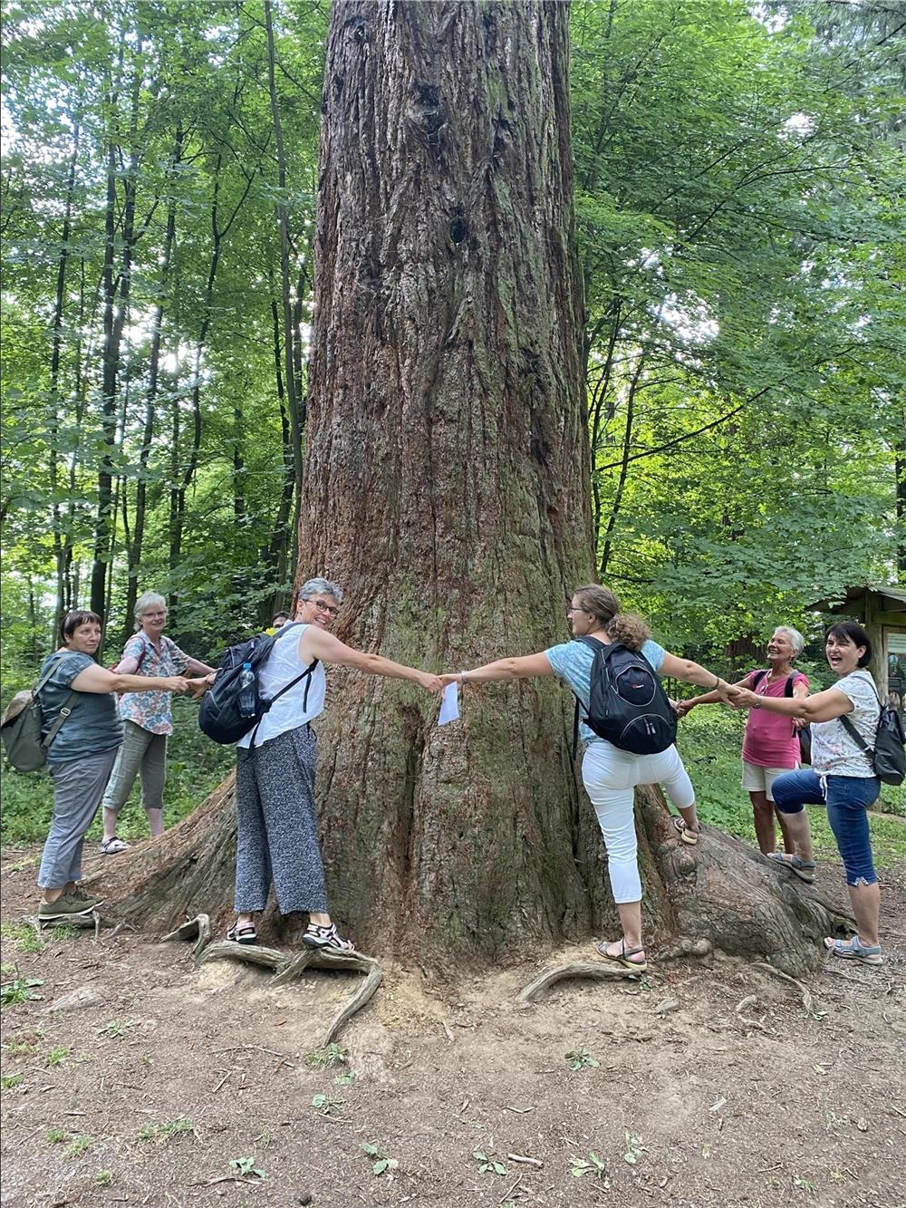 Sechs Personen stehen um den Stamm eines großen Baumes im Kreis und halten sich an den Händen.