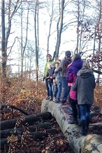 Eine Gruppe Kinder steht auf einer umgefallenen Buche in einem herbstlichen Wald.