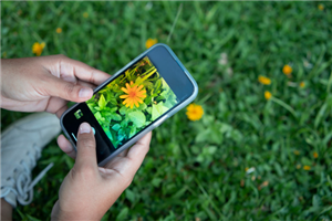 Digitale Woche - Pflanzenbestimmung per App mit der Begegnungsstätte