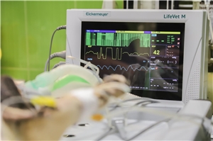 Das Foto zeigt einen Monitor zur Überwachung der Lebensfunktionen in einer Klinik.