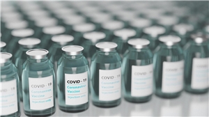 Das Foto zeigt mehrere Reihen von kleinen Ampullen mit Covid-19-Impfstoff.