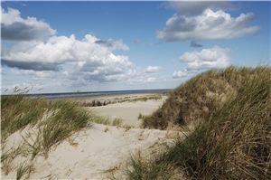 Norderney Naturbild