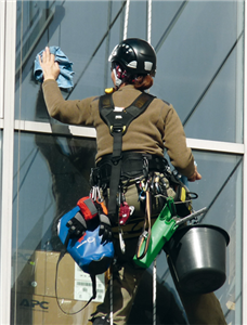Eine Fensterputzerin hängt an einem Kletterseil vor einer Glasfassade und reingt mit einem Lappen ein Fenster