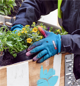 Ein Mann pflanzt einige Blumen in ein Beet des Projekts 'Querbeet' ein