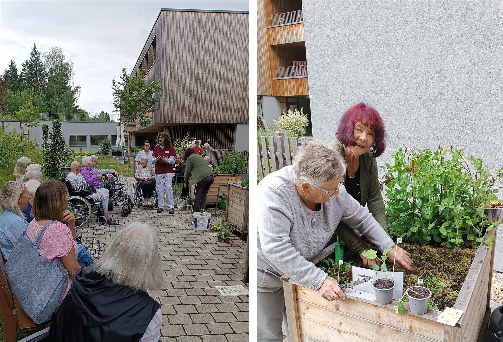 Auf dem rechten Foto: Zwei Personen ackern in einem Hochbeet. Eine Person mit einem grauen Pullover bearbeitet die Erde und die andere Person lacht in die Kamera.
Auf dem linken Foto: Eine Gruppe von Personen sitzt auf Bänken um die Hochbeete und eine Pflegerin erklärt etwas dazu.