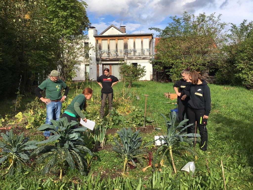 Die Schüler:innen beim nachhaltigen Gartenanbau