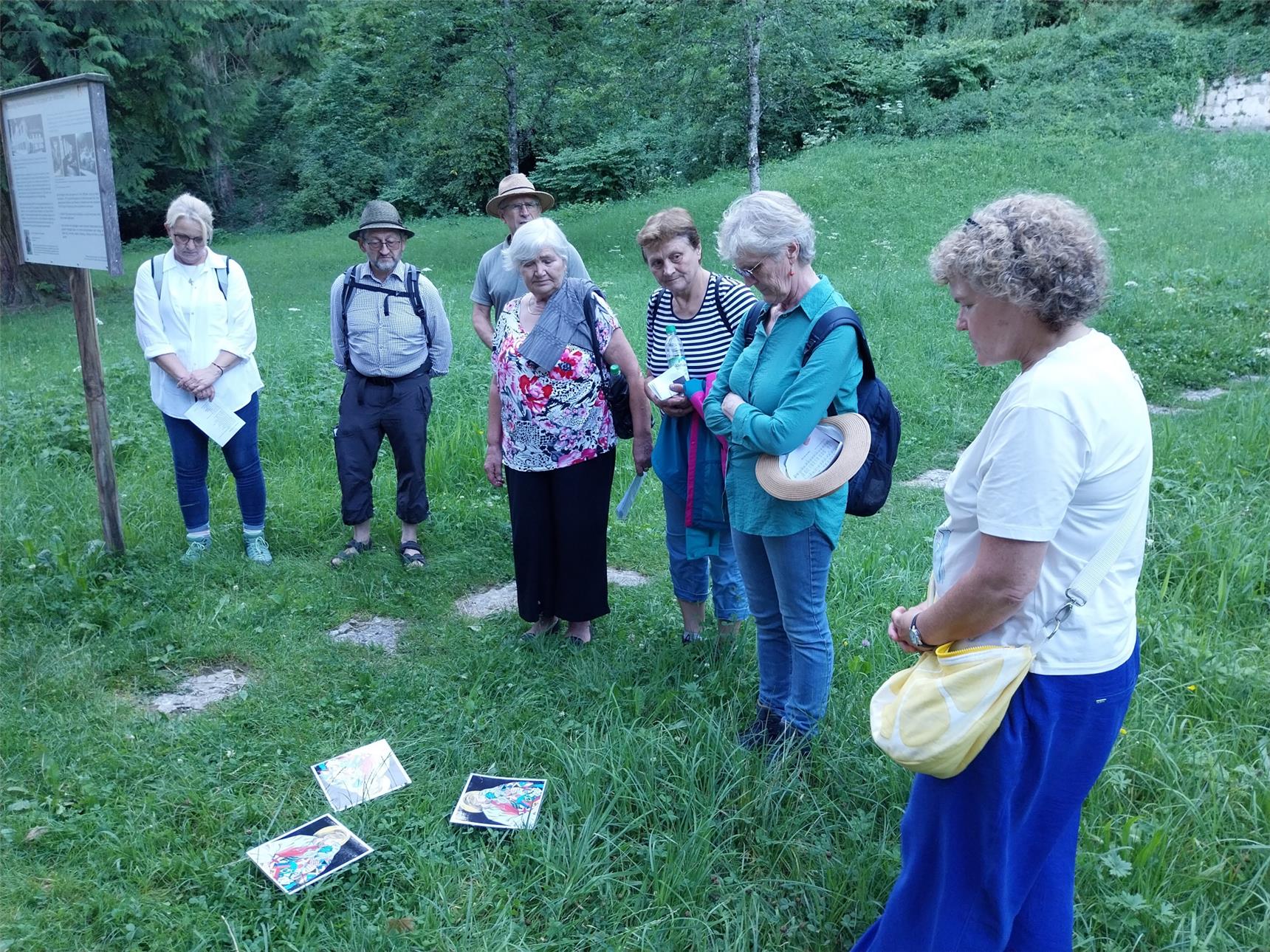 Mehrere ältere Personen stehen im Kreis auf einer Wiese und betrachten aufmerksam bunte Bilder, die auf dem Boden liegen. Im Hintergrund ist eine Infotafel neben einem Waldweg zu sehen.