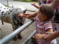 Ein behindertes Kind streichelt ein Pony