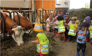 Die Kinder der Caritas-Kinderkrippe Wörth zu Besuch auf dem Bauernhof Lauberger.