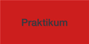 Praktikum Praktikum