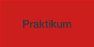 Praktikum