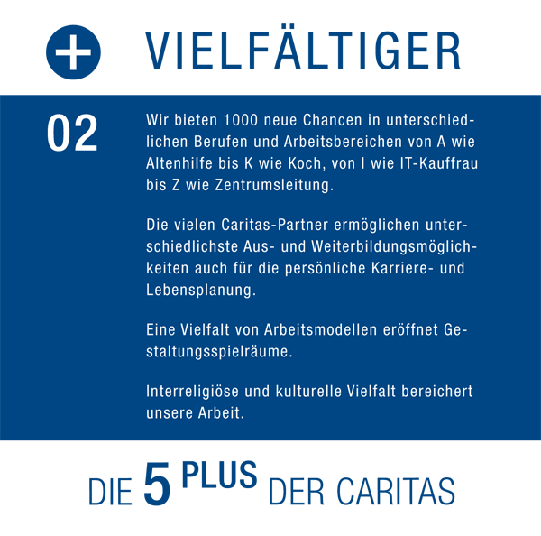 Fünf Plus - 009 - Vielfa╠êltiger