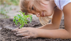 Kind beim Pflanzen im Gemüsegarten