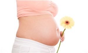 Bauch einer schwangeren Frau mit Blume in der Hand