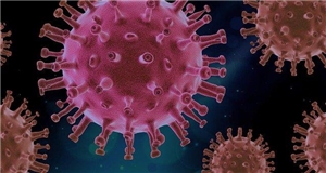 Bild des Coronavirus