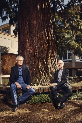 Zwei Männer sitzen auf einer Bank vor einem großen Baum