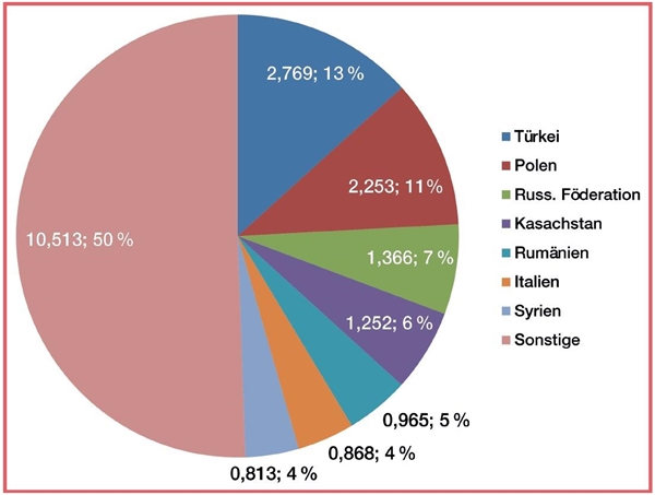 Das Tortendiagramm zeigt die prozentualen Anteile der wichtigsten Herkunftsländer.